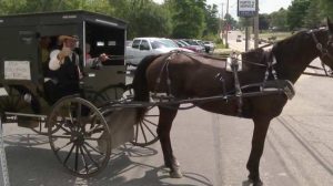 Amish Horse and Buggy Uber